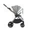 Коляска 2 в 1 Anex iQ Silve
