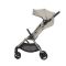Коляска 2 в 1 Anex iQ Soya