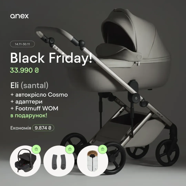 Коляска 2 в 1 Anex Eli Santal Black Friday