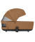 Коляска 2 в 1 CARRELLO Alfa CRL-6522 Honey Beige