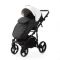 Коляска 2 в 1 Adamex Lanti SD-100