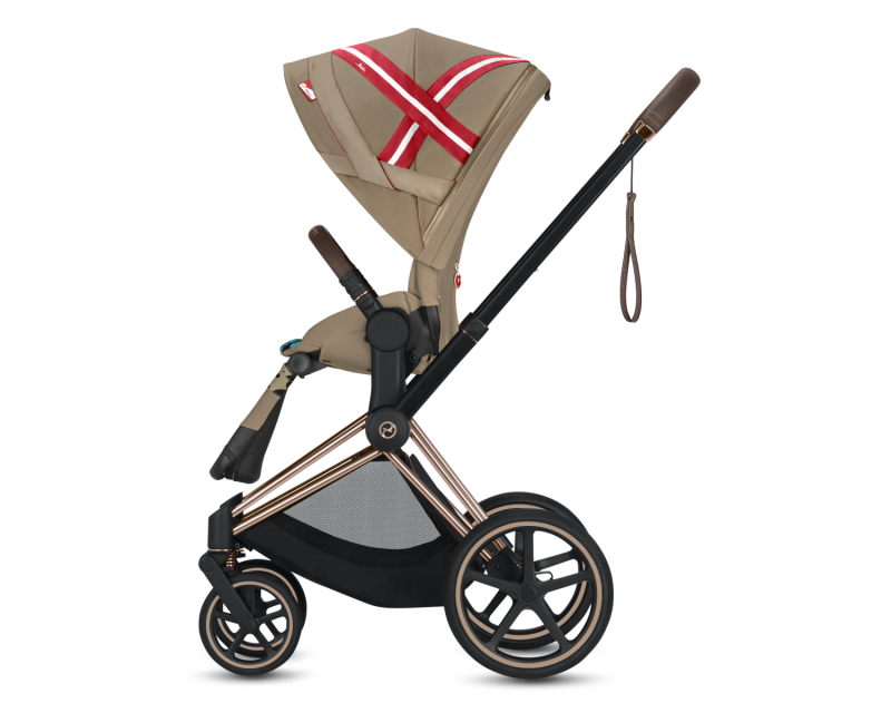 Коляска 2 в 1 Cybex Priam (Karolina Kurkova)