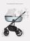 Коляска 2 в 1 Riko Ozon Shine 02