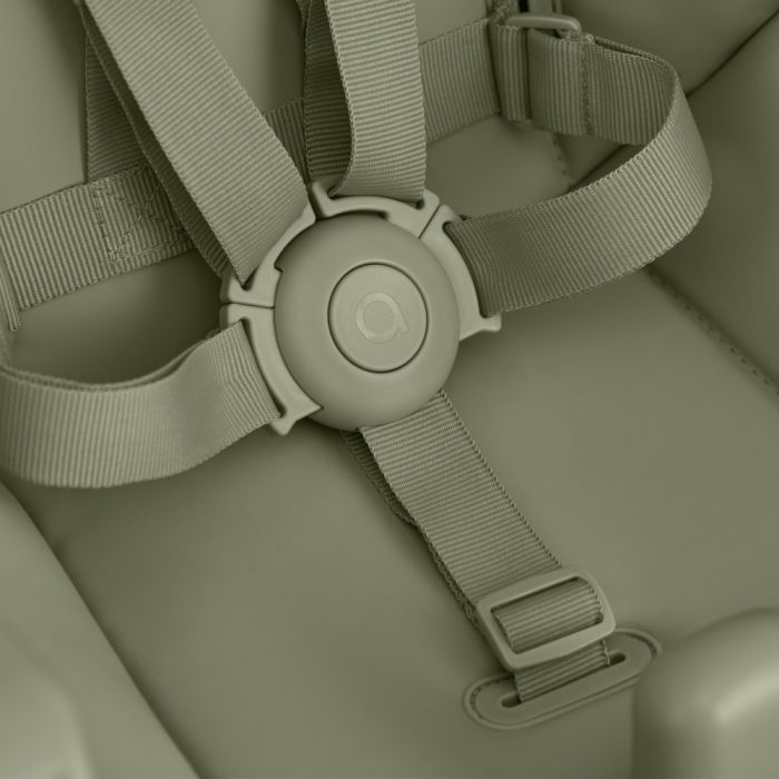 Стульчик для кормления Anex Ozy June