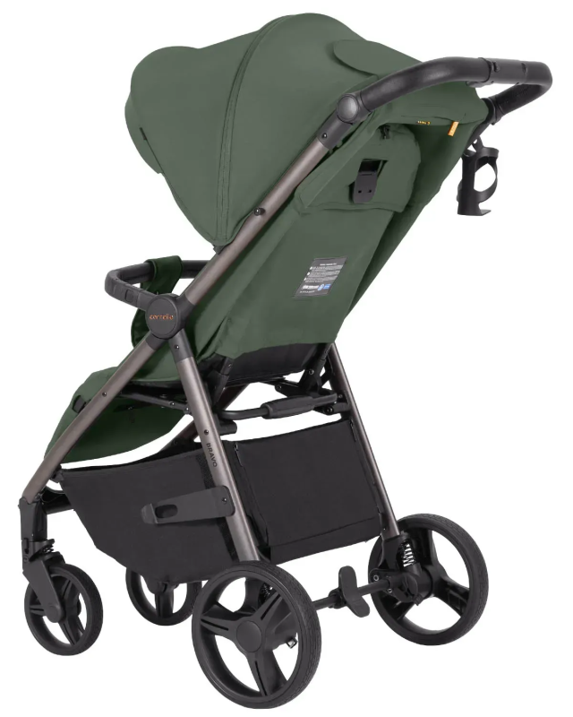 Прогулянкова коляска CARRELLO Bravo CRL-8512PU Bergamot Green