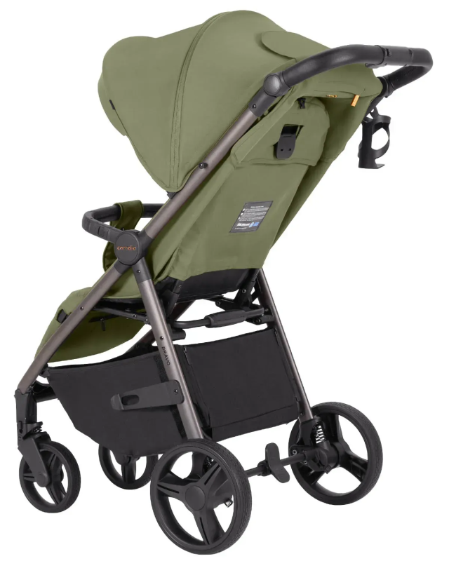Прогулянкова коляска CARRELLO Bravo CRL-8512PU Pomelo Green
