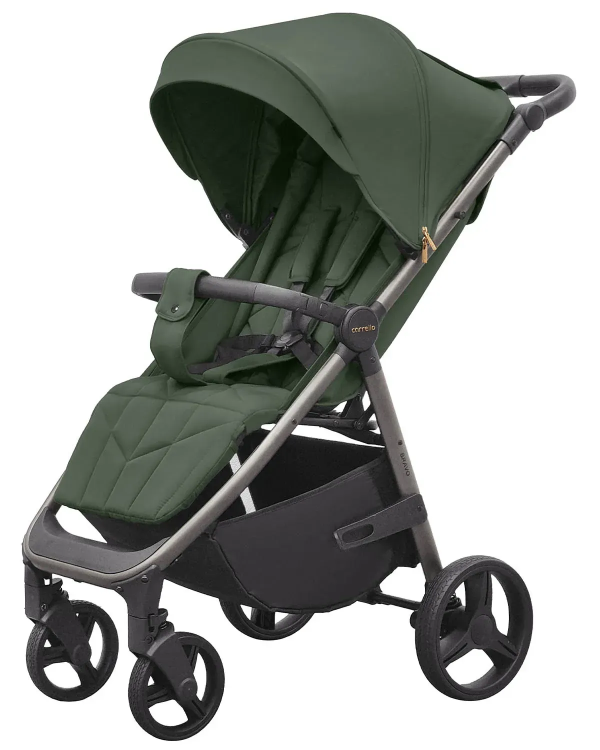 Коляска прогулочная CARRELLO Bravo CRL-8512PU Bergamot Green