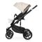 Коляска 2 в 1 Riko Ozon Ecco 25