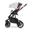 Коляска 2 в 1 Riko Ozon Shine 01