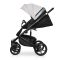 Коляска 2 в 1 Riko Ozon Shine 02