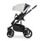 Коляска 2 в 1 Riko Ozon Shine 02