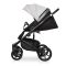 Коляска 2 в 1 Riko Ozon Shine 03