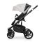 Коляска 2 в 1 Riko Ozon Shine 03