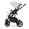 Коляска 2 в 1 Riko Ozon Shine 03
