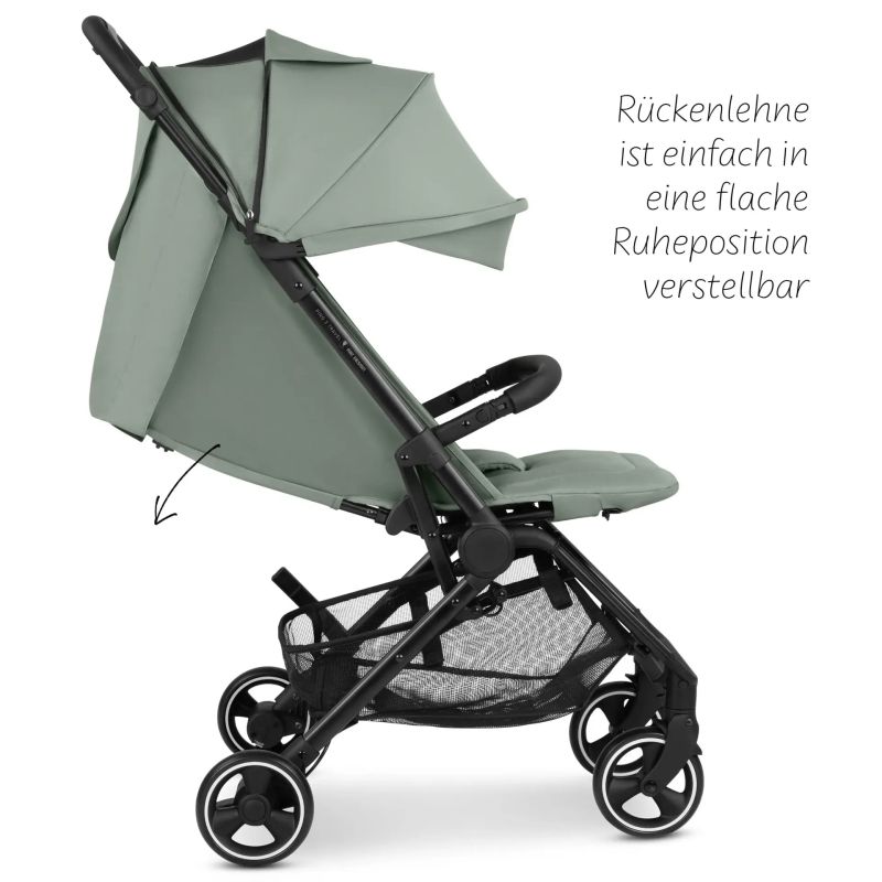 Прогулянкова коляска ABC Design Ping 3 Travel Pine