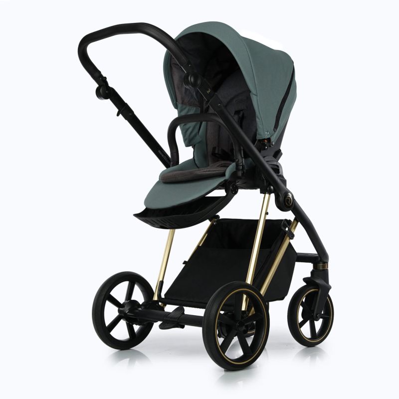 Коляска 2 в 1 Roan ivi Pine Green Gold 2.0