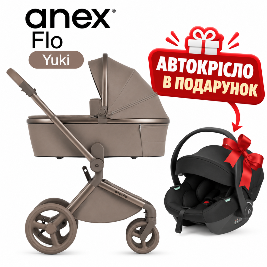 Коляска 2 в 1 Anex Flo Yuki автокресло в подарок