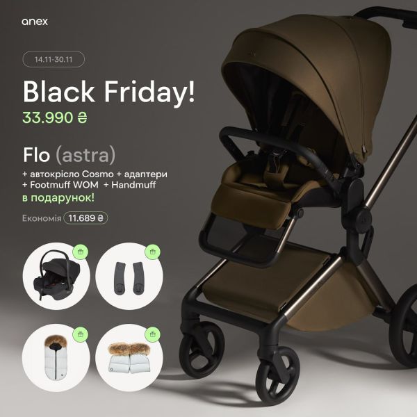 Коляска 2 в 1 Anex Flo Astra Black Friday
