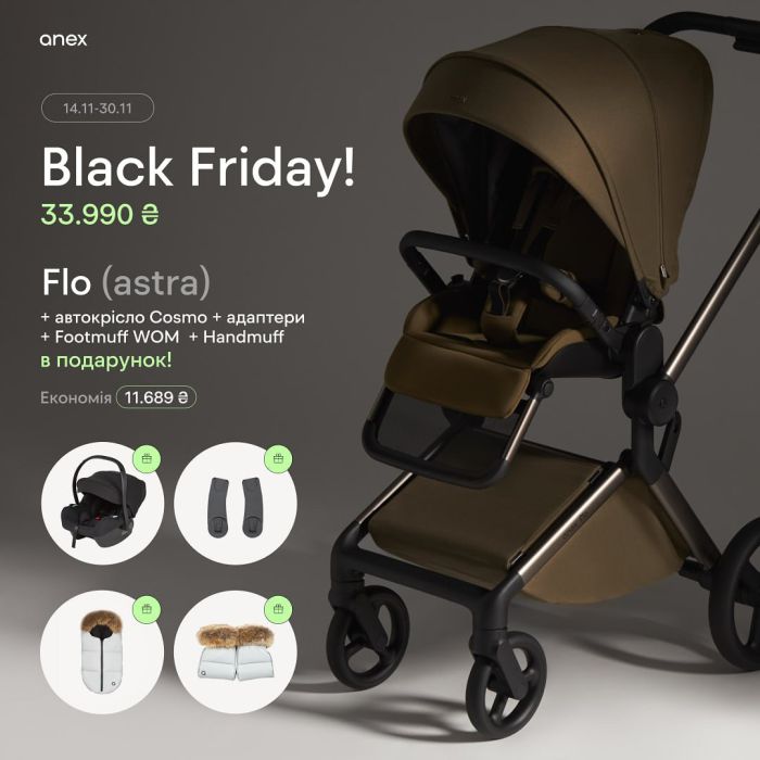 Коляска 2 в 1 Anex Flo Astra Black Friday