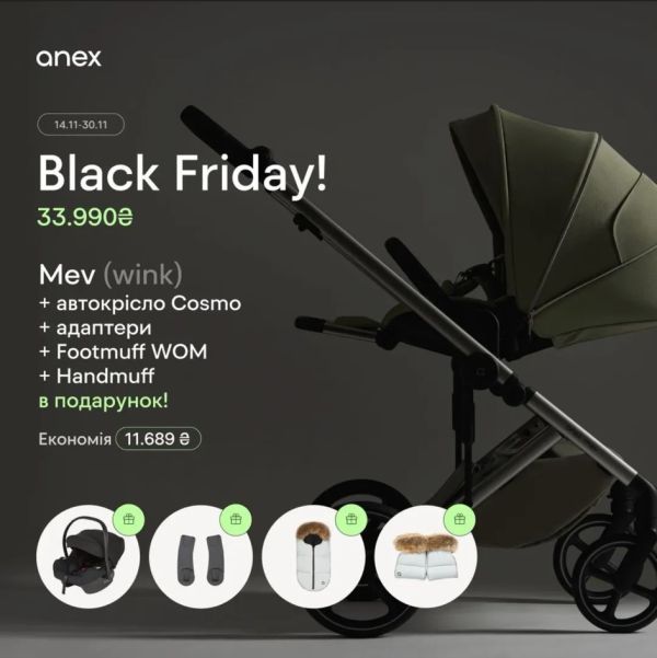 Коляска 2 в 1 Anex Mev Wink Black Friday