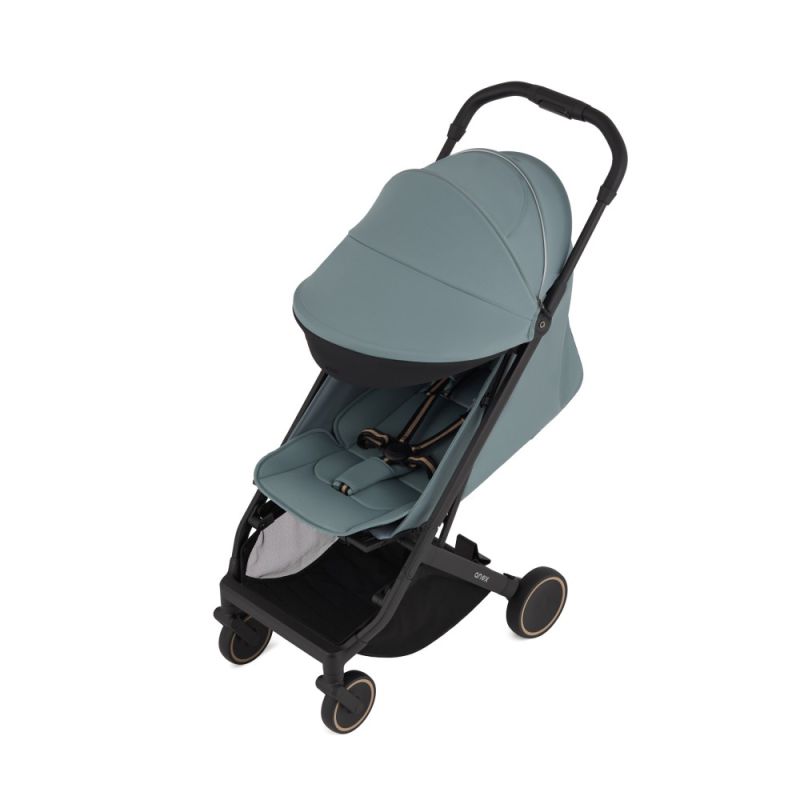 Прогулочная коляска Anex Air-X2 Sky (Ax2-05)