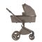 Коляска 2 в 1 Anex Flo Yuki